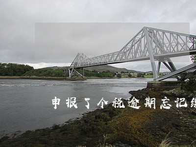 申报了个税逾期忘记缴费怎么处理