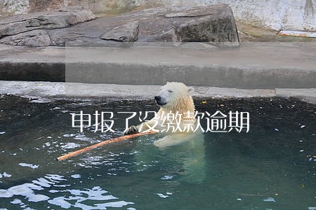 申报了没缴款逾期 申报了没缴款逾期