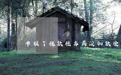 申报了税款税务局没扣款逾期一天 申报了税款税务局没扣款逾期一天