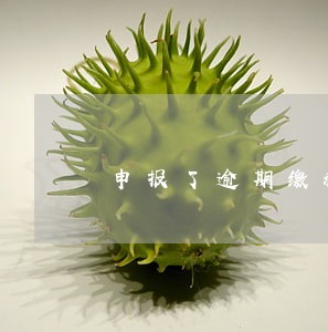 申报了逾期缴税会有什么后果 申报了逾期缴税会有什么后果
