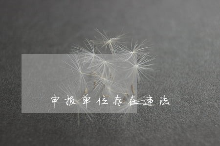 申报单位存在违法