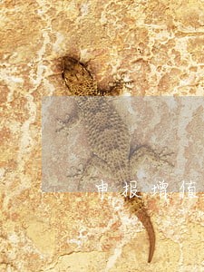 申报增值税逾期后果 申报增值税逾期后果