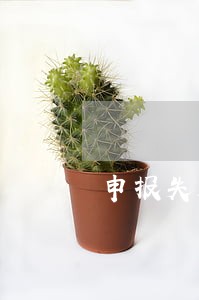 申报失败逾期了