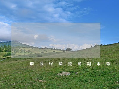 申报好税款逾期未缴