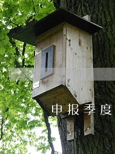 申报季度税逾期罚多少钱