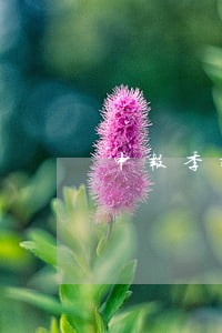 申报季报逾期了会怎么样