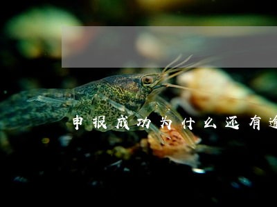 申报成功为什么还有逾期 申报成功为什么还有逾期