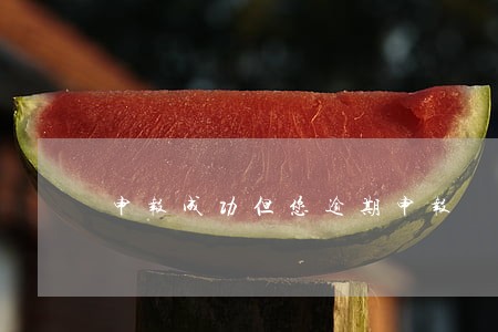 申报成功但您逾期申报 申报成功但您逾期申报