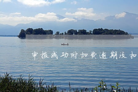 申报成功附加费逾期没扣款 申报成功附加费逾期没扣款