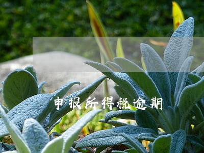 申报所得税逾期 申报所得税逾期
