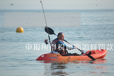 申报所得税逾期如何罚款