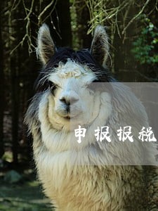 申报报税逾期罚款记录查询 申报报税逾期罚款记录查询