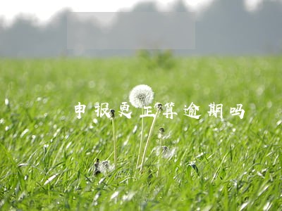 申报更正算逾期吗 申报更正算逾期吗