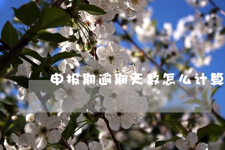 申报期逾期天数怎么计算 申报期逾期天数怎么计算