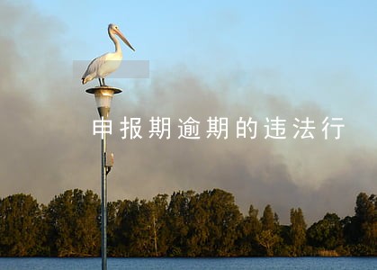 申报期逾期的违法行 申报期逾期的违法行