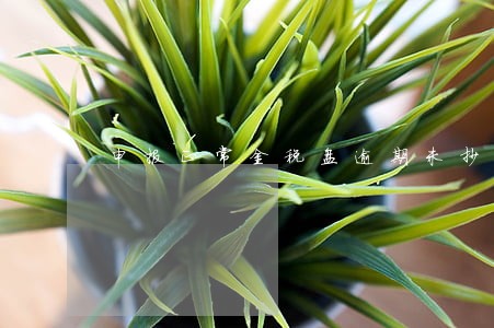 申报正常金税盘逾期未抄税 申报正常金税盘逾期未抄税