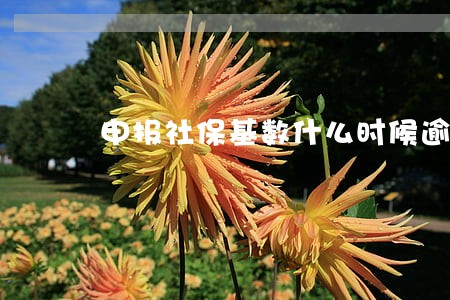 申报社保基数什么时候逾期 申报社保基数什么时候逾期