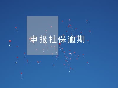 申报社保逾期 申报社保逾期