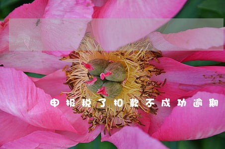 申报税了扣款不成功逾期了 申报税了扣款不成功逾期了