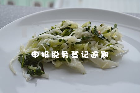 申报税务登记逾期 申报税务登记逾期