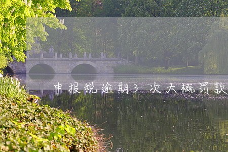 申报税逾期3次大概罚款多少 申报税逾期3次大概罚款多少