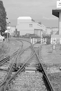 申报税逾期怎么办 申报税逾期怎么办