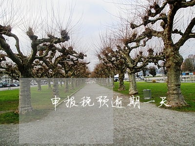 申报税预逾期一天 申报税预逾期一天