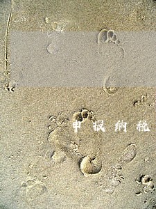 申报纳税的逾期 申报纳税的逾期