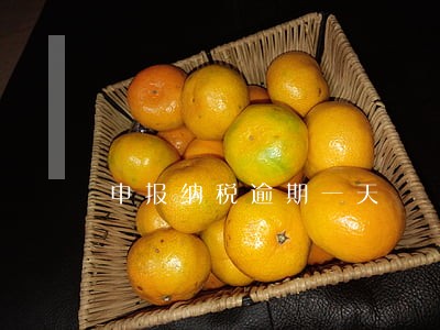 申报纳税逾期一天 申报纳税逾期一天