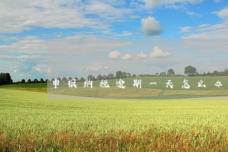 申报纳税逾期一天怎么办 申报纳税逾期一天怎么办