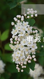 申报纳税逾期了会处罚什么 申报纳税逾期了会处罚什么