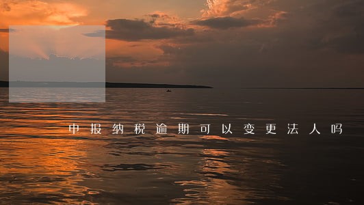 申报纳税逾期可以变更法人吗 申报纳税逾期可以变更法人吗