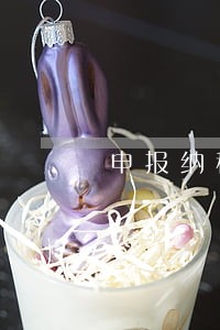 申报纳税逾期可以申请吗 申报纳税逾期可以申请吗