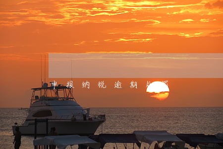 申报纳税逾期处罚 申报纳税逾期处罚