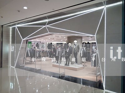 申报纳税逾期平台所致 申报纳税逾期平台所致