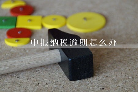 申报纳税逾期怎么办 申报纳税逾期怎么办