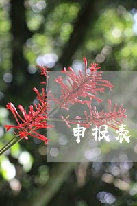 申报表无法填写逾期申报怎么办 申报表无法填写逾期申报怎么办