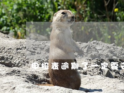 申报表逾期了一定要去大厅吗 申报表逾期了一定要去大厅吗