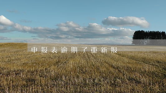 申报表逾期了重新报 申报表逾期了重新报