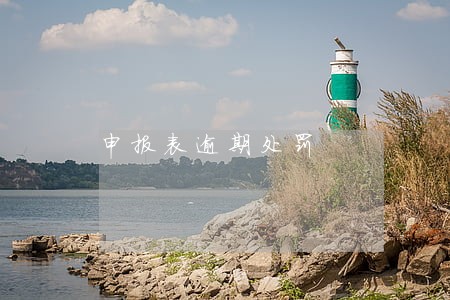 申报表逾期处罚 申报表逾期处罚