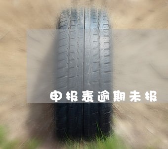 申报表逾期未报 申报表逾期未报