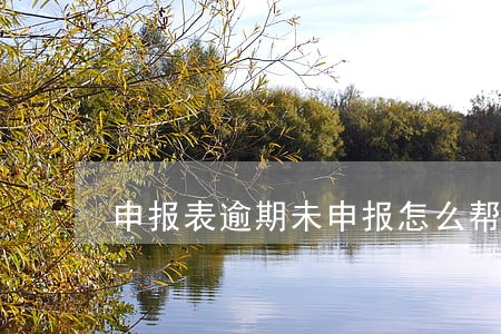 申报表逾期未申报怎么帮 申报表逾期未申报怎么帮