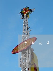 申报记录逾期 申报记录逾期