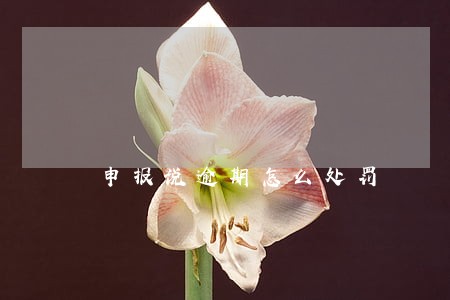 申报说逾期怎么处罚 申报说逾期怎么处罚