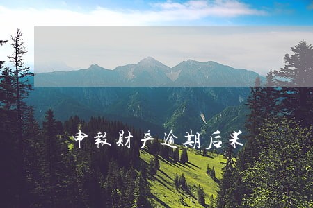 申报财产逾期后果 申报财产逾期后果