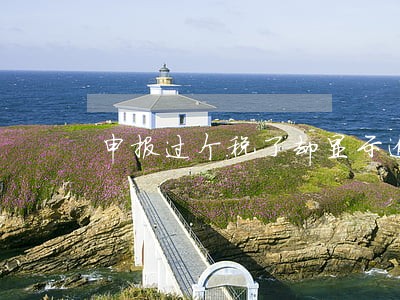 申报过个税了却显示逾期 申报过个税了却显示逾期