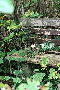 申报退税时间逾期 申报退税时间逾期