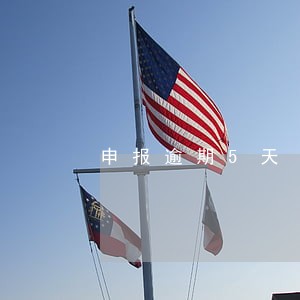 申报逾期5天 申报逾期5天