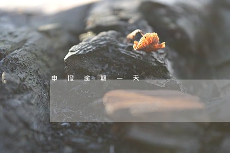 申报逾期一天 申报逾期一天