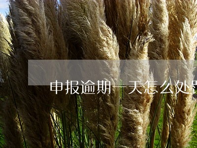 申报逾期一天怎么处罚 申报逾期一天怎么处罚